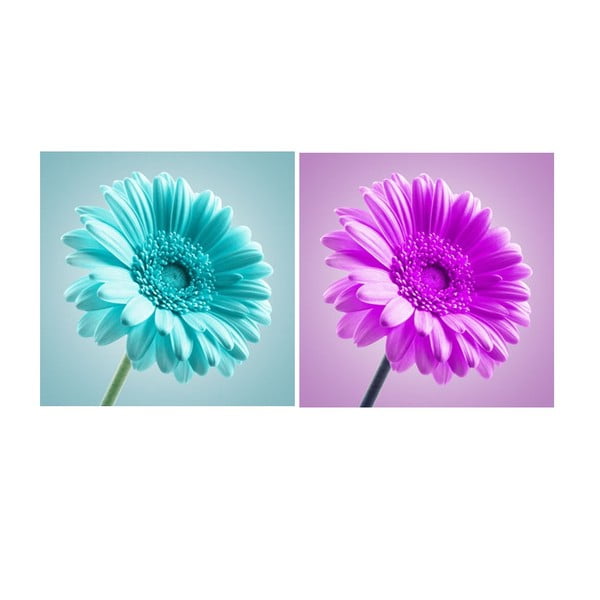 Zestaw 2 obrazów na szkle Kwiaty, 30x30 cm