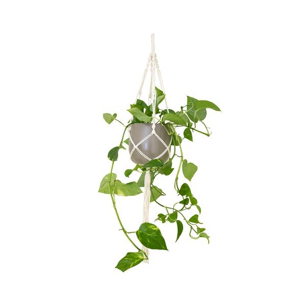 Tekstylny system do zawieszenia doniczki ø 13 cm (wysokość 100 cm) Macramé – Artevasi