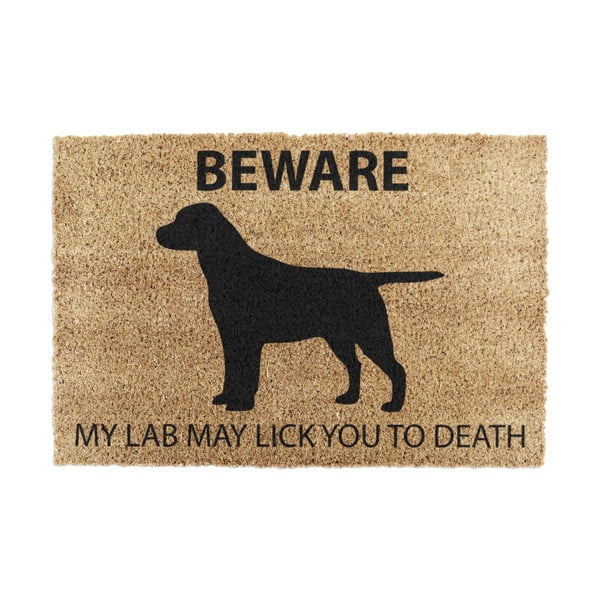 Wycieraczka z włókna kokosowego 40x60 cm Labrador – Artsy Doormats