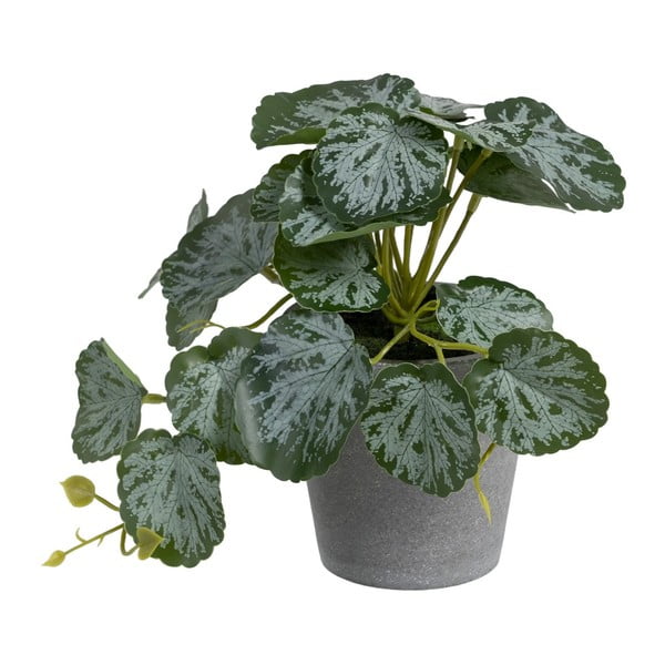 Sztuczna roślina (wysokość 21,5 cm) Saxifraga – Ixia