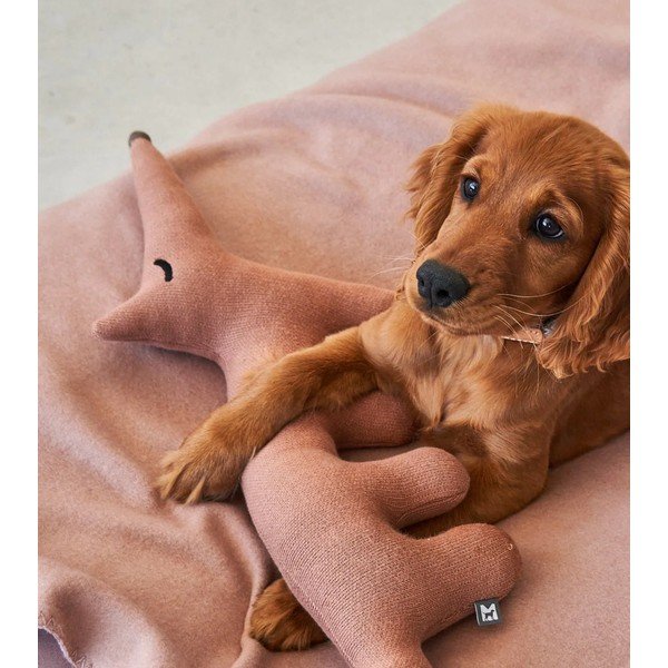 Zabawka dla psa Bosco Rabbit – MiaCara-image-3