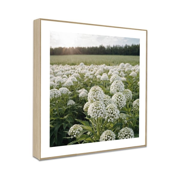 Obrazy zestaw 4 szt. 30x30 cm Sunrise Hike-image-4