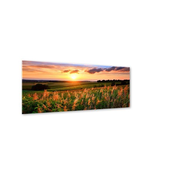 Obraz Styler Glas Sunset Meadow, 50x125 cm-image-1