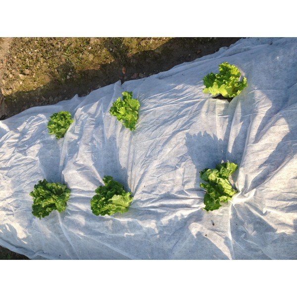 Agrotkanina przeciw chwastom – Garden Pleasure-image-2