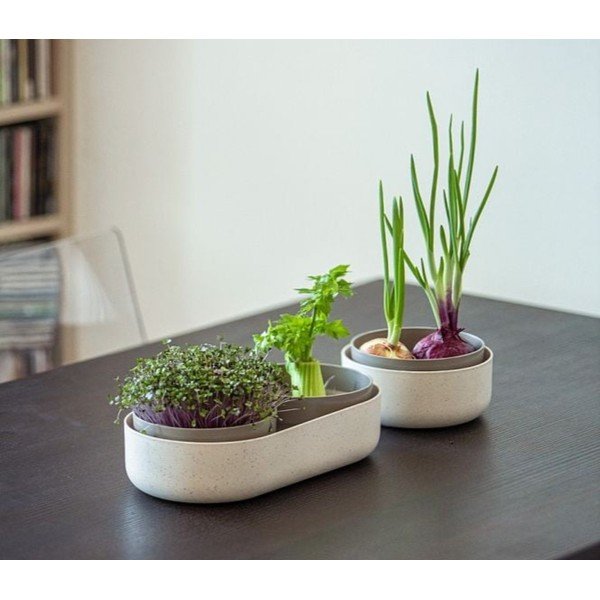 Plastikowa miska do kiełkowania Microgreens + Regrow – Plastia-image-1