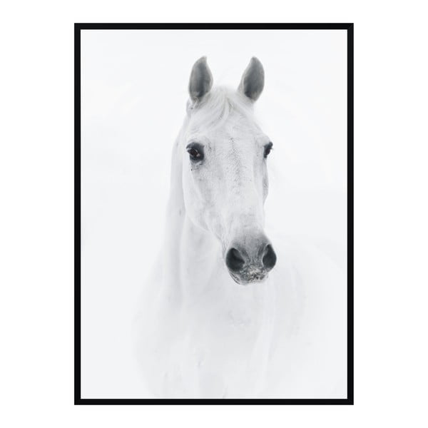 Plakat Nord & Co Horse, 21x29 cm