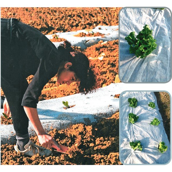 Agrotkanina przeciw chwastom – Garden Pleasure-image-4