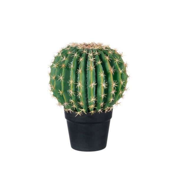 Roślina dekoracyjna J-Line Cactus, wysokość 33 cm