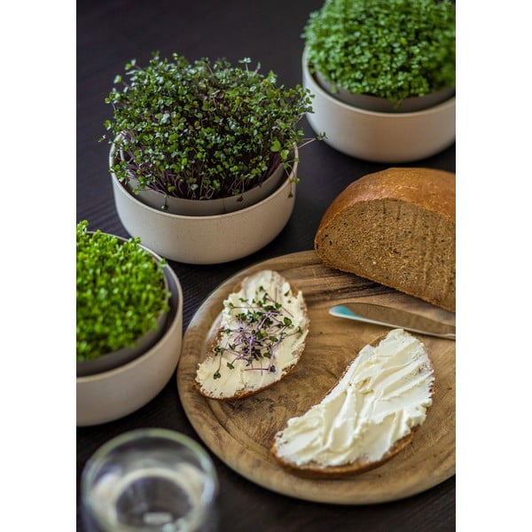 Plastikowa miska do kiełkowania Microgreens + Regrow – Plastia-image-3