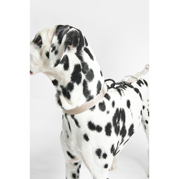 Beżowa obroża w rozmiarze L/XL długość 40 cm Modena Greige L/XL – MiaCara-image-1