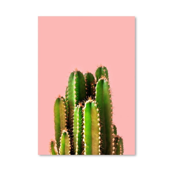 Plakat Americanflat Cactus, 30x42 cm