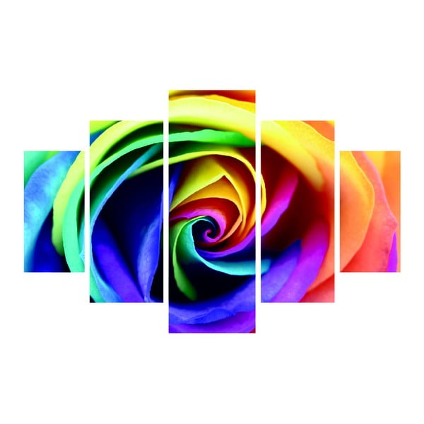 Obraz wieloczęściowy Color Rose, 92x56 cm