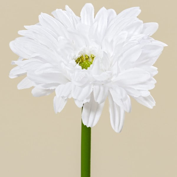 Dekoracyjny kwiat Boltze Gerbera