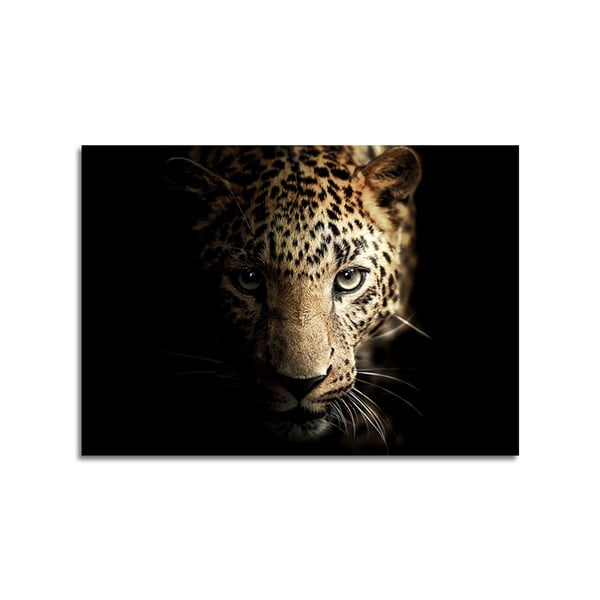Szklany obraz 100x70 cm Leopard – Styler