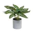 Sztuczna roślina (wysokość 21 cm) Syngonium – Ixia