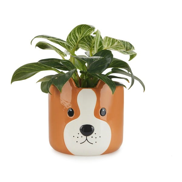 Ceramiczna doniczka ø 13,5 cm Woof – Balvi-image-1