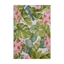 Dywan odpowiedni na zewnątrz 80x165 cm Flair – Hanse Home