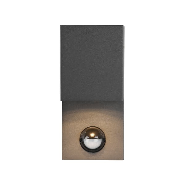 Kinkiet zewnętrzny z czujnikiem ruchu (wys. 15 cm) Roya – Trio-image-3