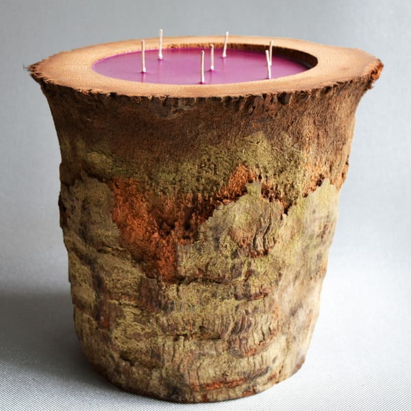 Palmowa świeczka Legno o zapachu białego piżma, 280 godzin palenia