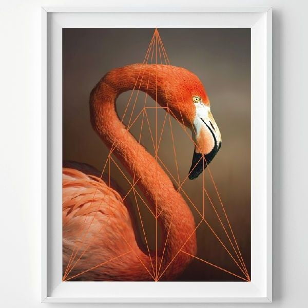 Plakat Flamingo Portrait, A3