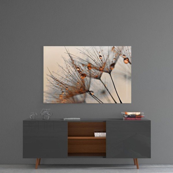 Szklany obraz Insigne Cinnamon Dandelion, 72x46 cm-image-1