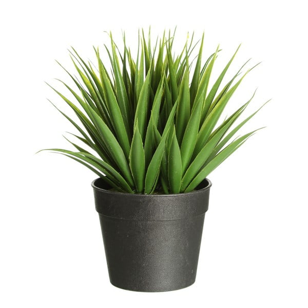 Sztuczna roślina Ixia Palm, wys. 19 cm