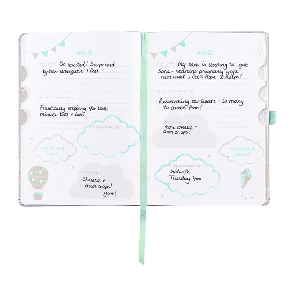 Pamiętnik ciąży 128 stron – Busy B-image-3