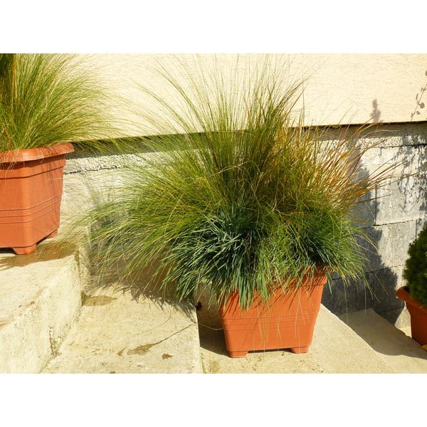 Brązowa doniczka z systemem nawadniania Plastia Bergamot, 50x50 cm-image-1