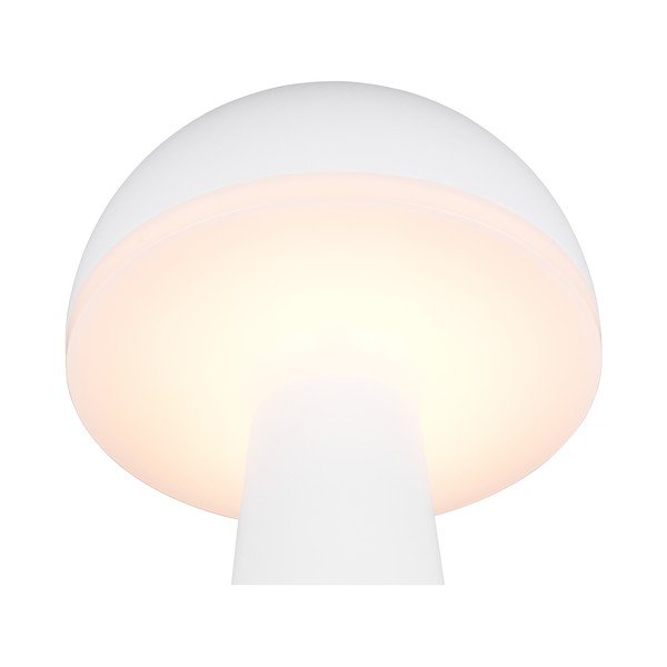 Lampa zewnętrzna ze ściemniaczem ø 16 cm Fungo – Reality-image-1