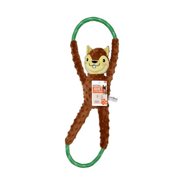 Zabawka dla psa Squirrel – Love Story-image-1