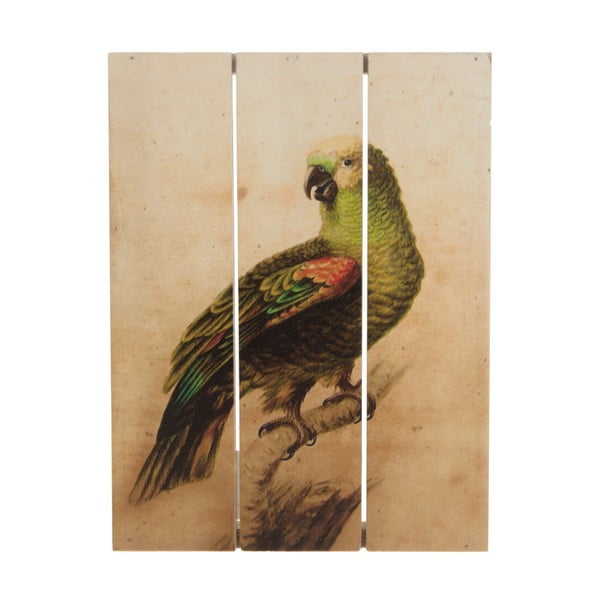 Drewniany obraz Dijk Natural Collections Parrot, 19x25 cm