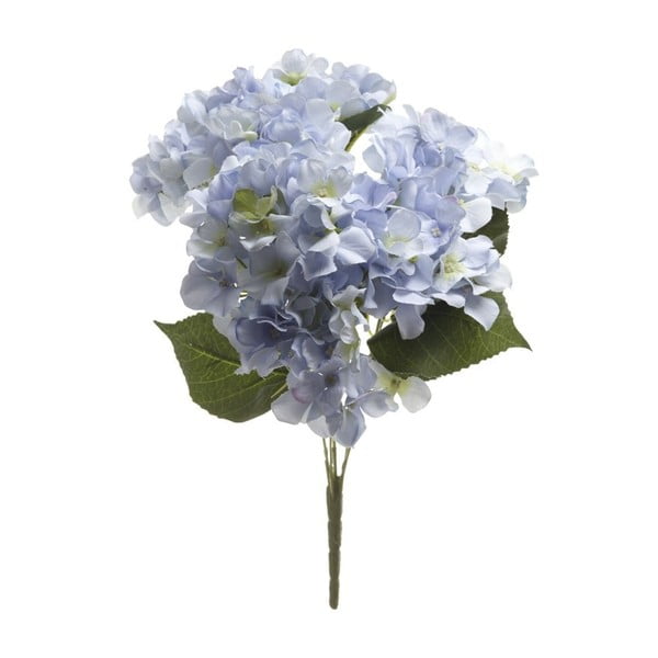 Jasnoniebieski kwiat dekoracyjny Heaven Sends Hydrangea