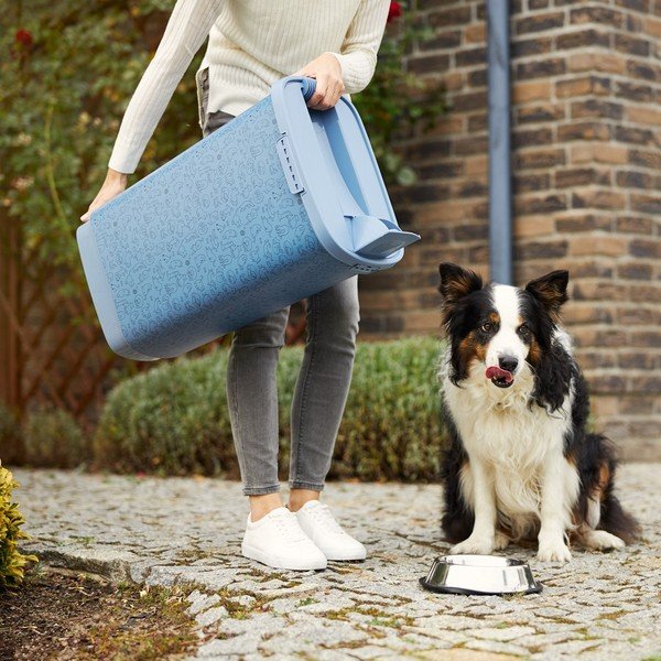 Niebieski pojemnik na karmę 50 l Cody – Rotho-image-3