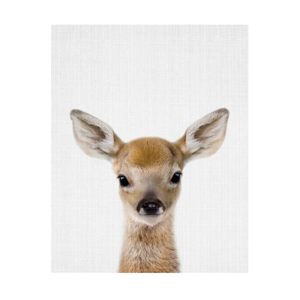 Plakat Blue-Shaker Baby Animals Deer, 30x40 cm