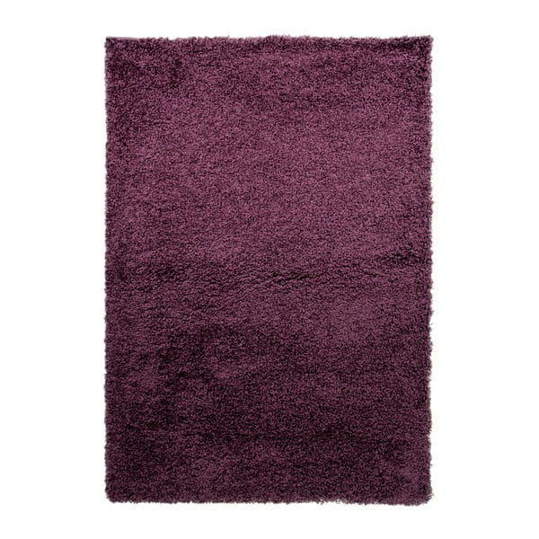 Fioletowy dywan Flair Rugs Cariboo Purple, 120x170 cm