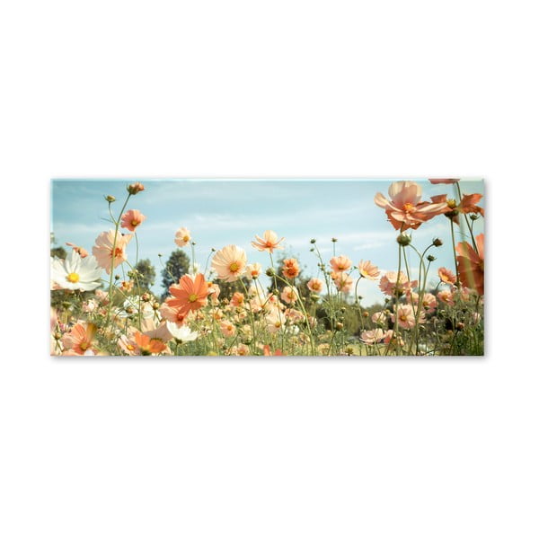 Szklany obraz Styler Yellow Meadow, 50x125 cm