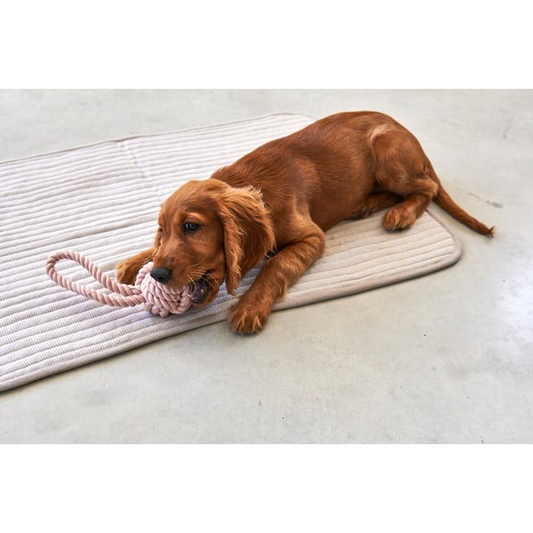 Szary bawełniany koc dla psów 60x80 cm Onda Greige S – MiaCara-image-3