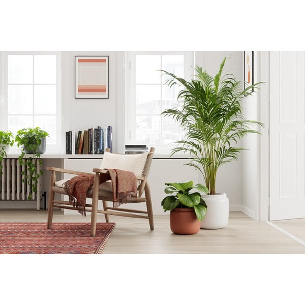 Ceramiczna ręcznie wykonana doniczka ø 20 cm Astrea – Artevasi-image-3