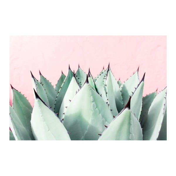 Obraz Marmont Hill Sweet Succulent, 45x30 cm