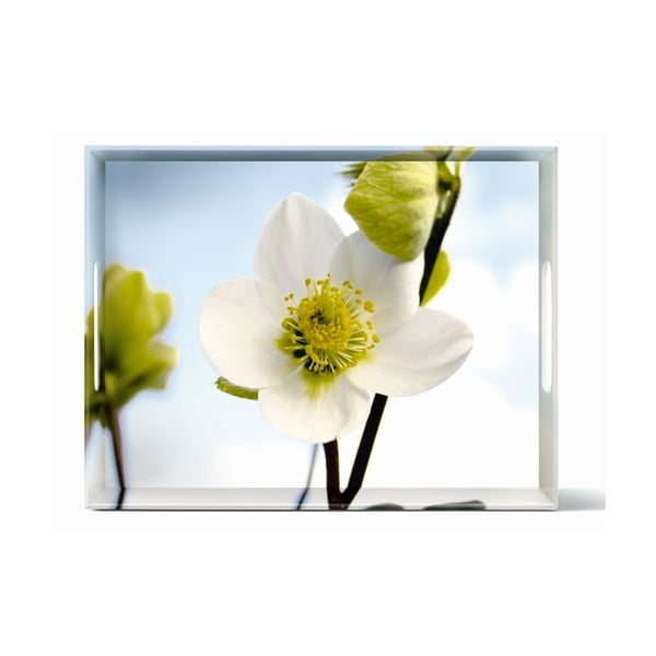Taca Classic White Blossom, 40x31 cm