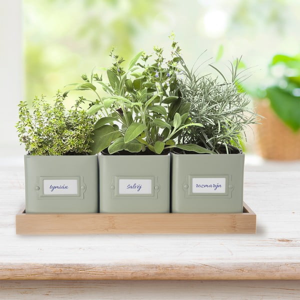 Metalowe doniczki na zioła zestaw 3 szt. Greenish – Orion-image-1