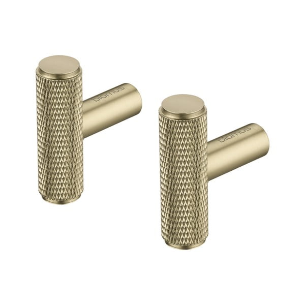 Ścienne metalowe haczyki w kolorze mosiądzu zestaw 2 szt. Rof – Blomus