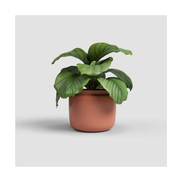 Ceramiczna ręcznie wykonana doniczka ø 20 cm Astrea – Artevasi-image-1