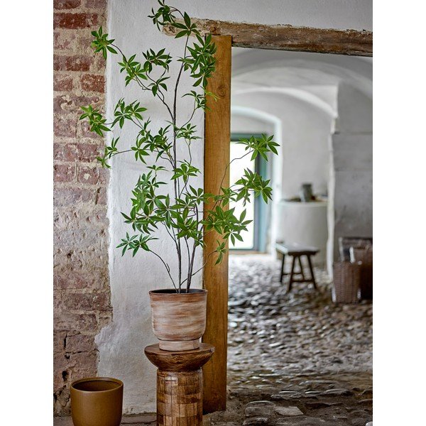 Sztuczna roślina (wysokość 160 cm) Palmatum – Bloomingville-image-1