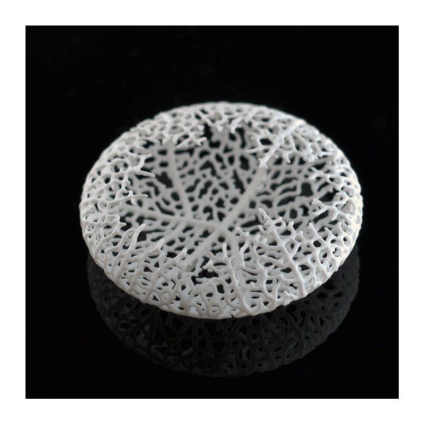 Broszka Hyphae White-image-3