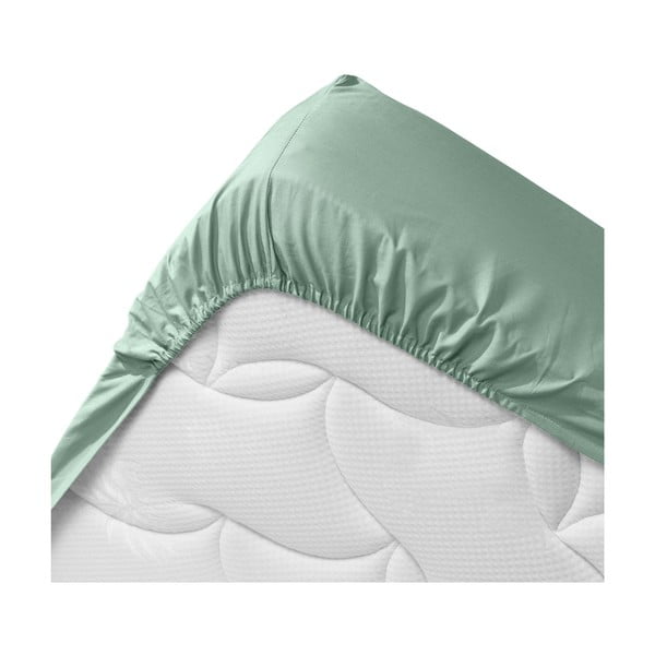 Jasnozielone prześcieradło z bawełny organicznej z gumką 140x190 cm Biolina – douceur d'intérieur-image-3