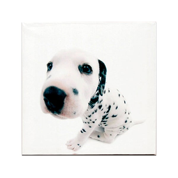 Drewniana tabliczka White Puppie, 30x30 cm