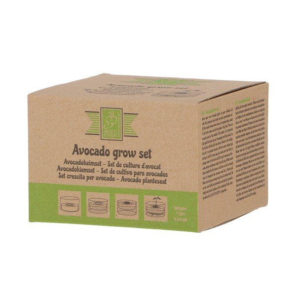 Szklana miska do kiełkowania ø 14 cm Avocado – Esschert Design-image-4