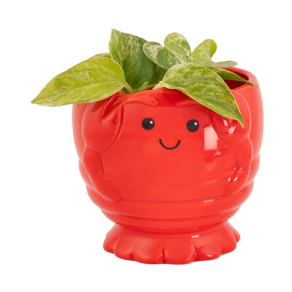 Ceramiczna osłonka na doniczkę ø 10 cm Lobster – Sass & Belle (zdjęcie 3)