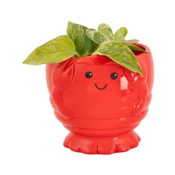 Ceramiczna osłonka na doniczkę ø 10 cm Lobster – Sass & Belle-image-2
